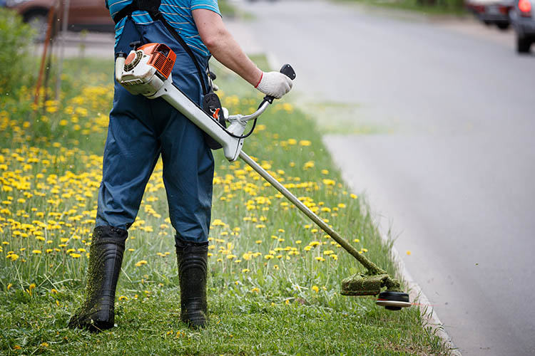 Weed Eater trimming grass and cutting weeds/dandilions | Jacksonville, IL